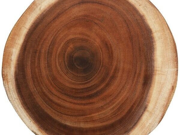 DÉcor &#8211; Tabletop Wood Slices &#8211; Round &#8211; 10-12 In