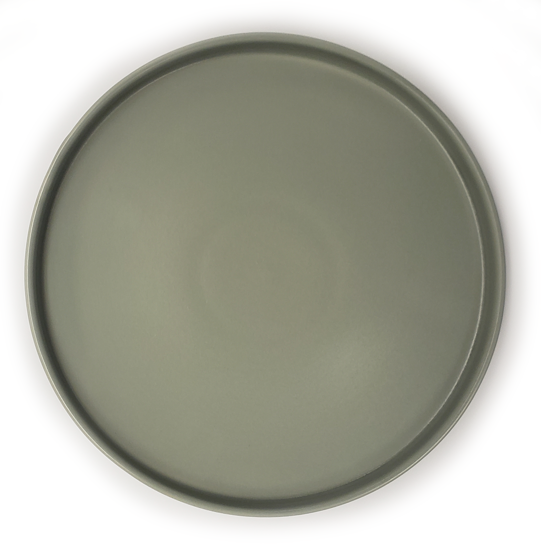 Stoneware Sedona Sage Plate 10&#8243; Dinner